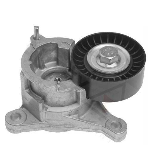 Citroen C4 2.0 Alternatör Gergi Rulmanı Swag 62919356
