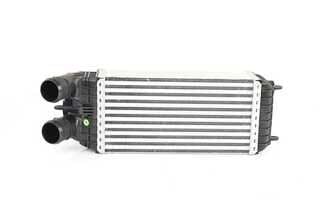 Peugeot 301 Turbo İntercooler Radyatörü Kale 0384.N7 9803900780