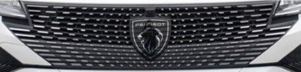 Peugeot 408 Ön Panjur Izgarası PSA Orijinal 168855111J